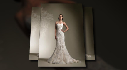 All about the Bride