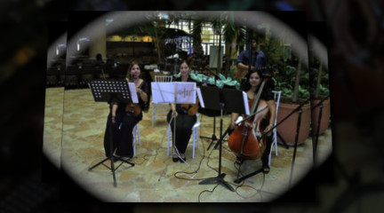 Violines Frenesi