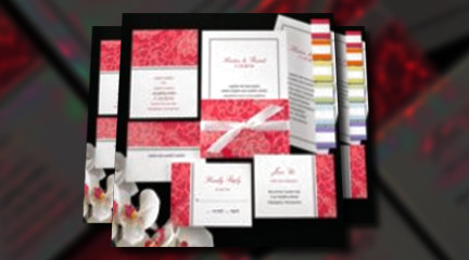 You Invision your Dream Wedding, Let Persnickety Promotions/ The Persnickety Bride make it a Reality