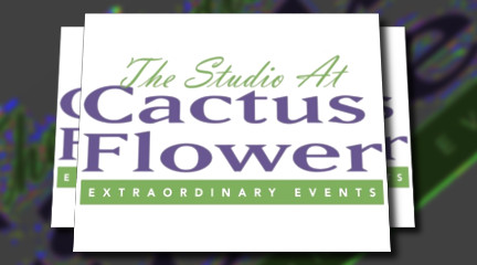 The Studio at Cactus Flower