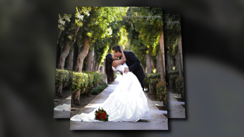 Weddings at SeaCliff
