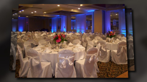 Spectacular Service at Affordable Prices