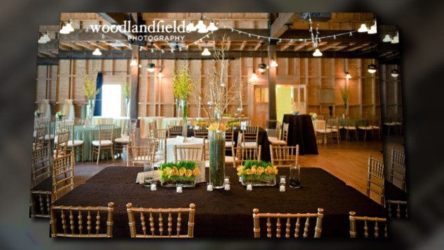 Silver Lining Linens