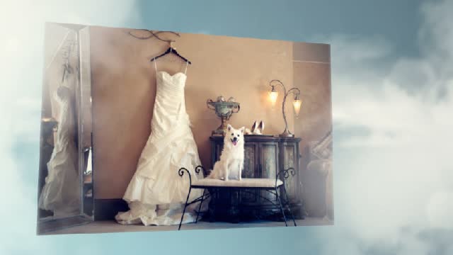 Wowedding