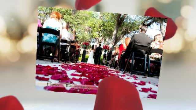 Orlando Wedding & Party Rentals