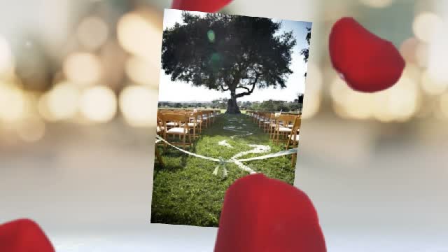 Weddings